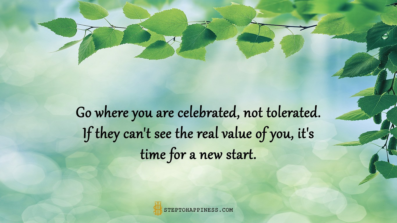 Kết quả hình ảnh cho Go where you are celebrated – not tolerated. If they can't see the real value of you, it's time for a new start.