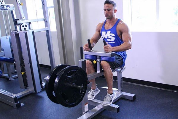 Bài tập Seated Calf Raise