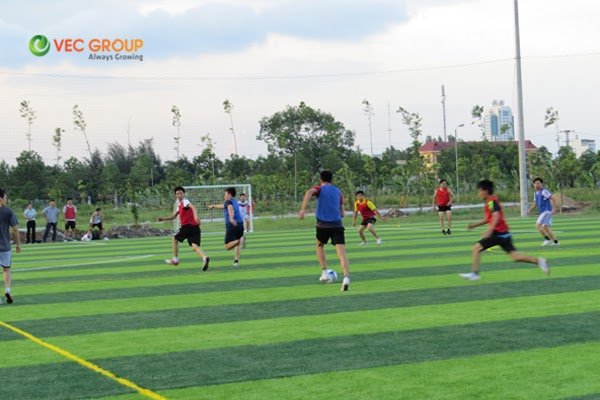 Cẩn thận với những rủi ro từ kinh doanh sân bóng.