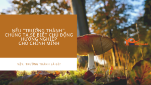 tư vấn hướng nghiệp