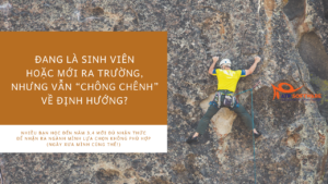 tư vấn hướng nghiệp